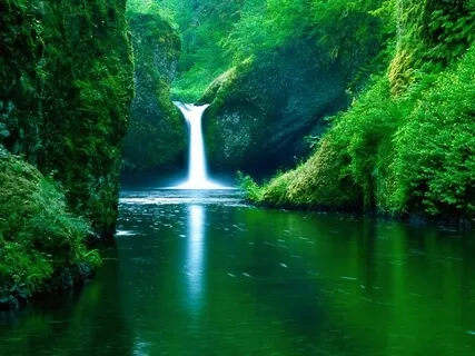 Earth Energy Healing