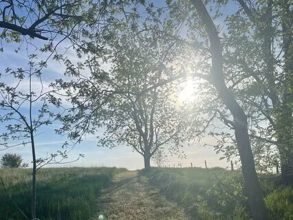 Earth Frequency Mediation Activation