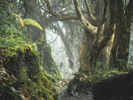 'Earth' Gong Meditation