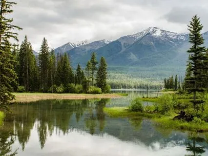 Earth Grounding Meditation