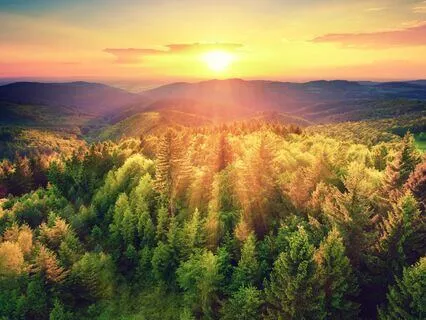 Earth Medicine: Deep Relaxation Music & Nature Sound Healing