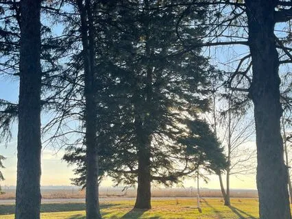 Earth Medicine Journey | Meet Your Guide