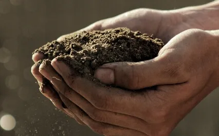 Earth Meditation: Honouring The Sacred Element Of Earth