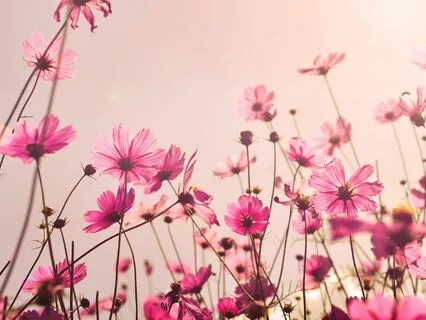 Earth Music To Love Self And Feel Nourished