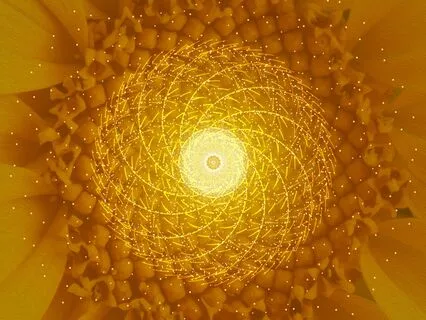 Earth Pulse With Guided Audio (360° Headset Experience)