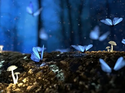 Earth Rebels Session 8 - Rebellion Cells