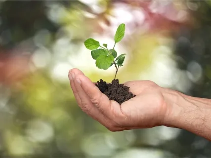 Earth Rebels Session 10 - Celebration