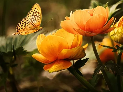 Earth Rebels Session 5 - The Living Earth