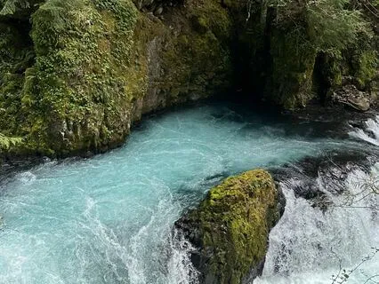 Earth Reverence: A Practice For Honoring Life