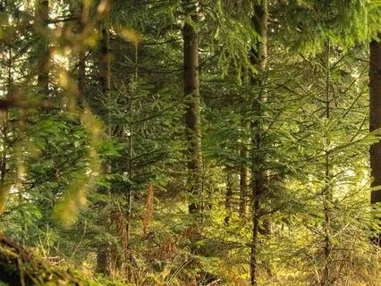 Earth's Anchoring Alarm