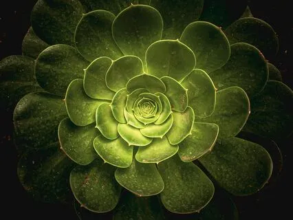 Earth's Embrace | Grounding Sleep Meditation & Music