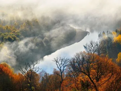 Earth's Pulse | Shamanic Meditation