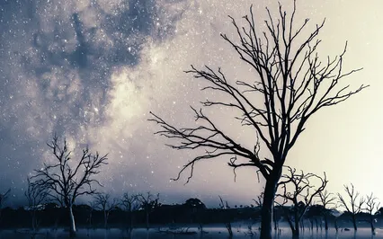 Earth Savasana For Grounding, Relaxation & Sleep