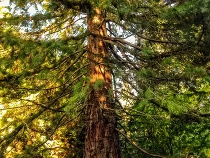 Earth, Sky, Heart Meditation