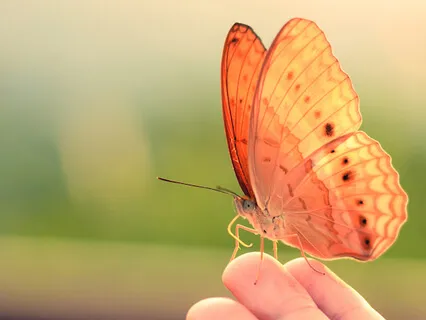Earth Spirit Gratitude Practice