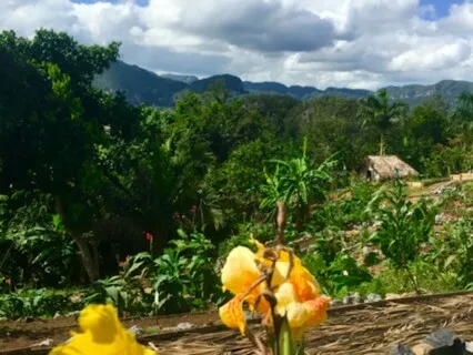 Earth Star Chakra Guided Meditation