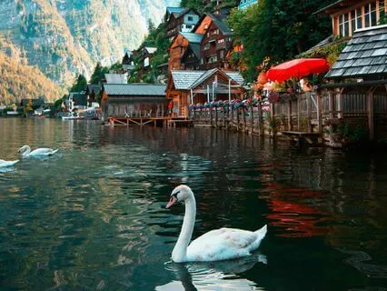 Earth Vibration, Resonant Connect The Planet’s Energy