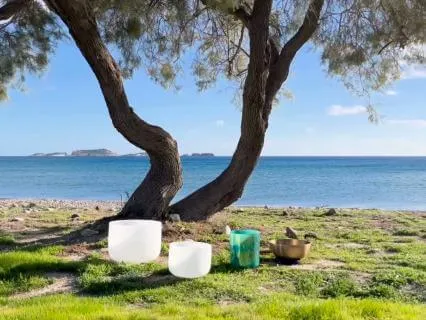 Earth & Water Meditation | Tibetan & Crystal Singing Bowls