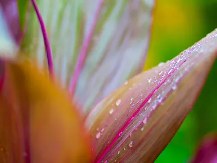 Earth Womb Reiki Healing Practice