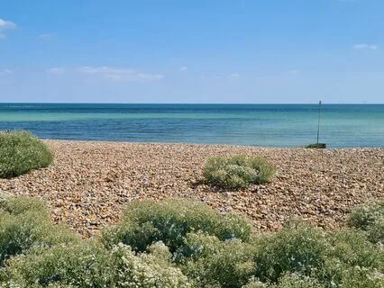 Earthing And Releasing Letting Go Meditation