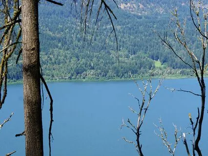 Earthing Importance And Benefits