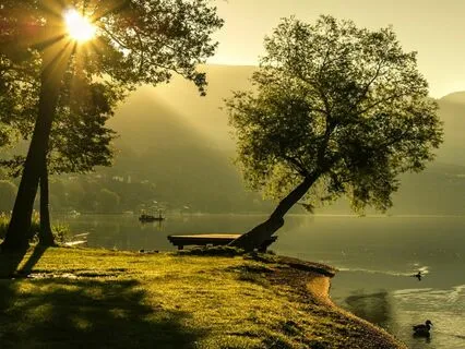 Morning Meditation-Earthing The Mind