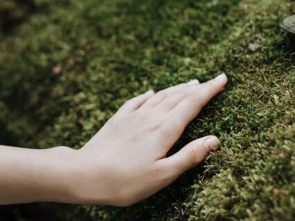 Earthy Yoga Nidra To Calm The Nervous System