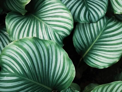 Ease & Release Meditation