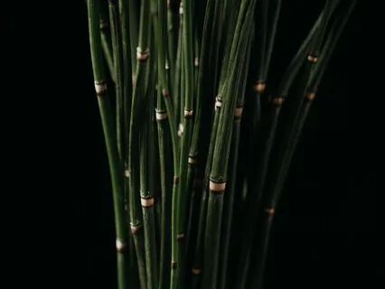 Ease Anxiety & Fall Asleep