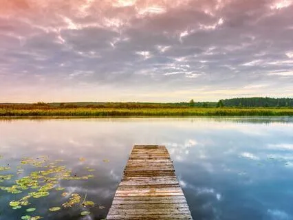 Ease Anxiety Fast: Find Peace Amidst Chaos