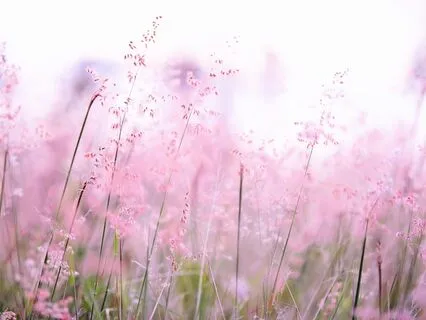 Ease Anxiety:  On The Spot Practice