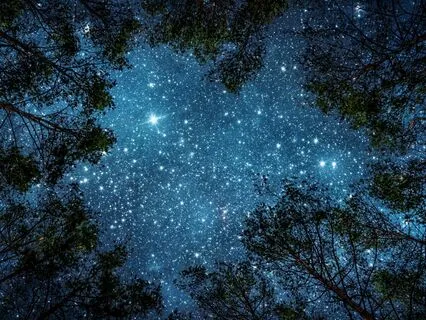 Ease Back Into Sleep In The Early Hours Meditation