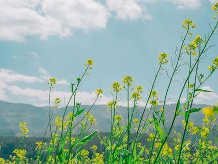 Ease Discomfort: A Guided Path To Relief