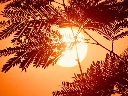 Ease in the Moment – A Gentle Space For Heartfelt Calm