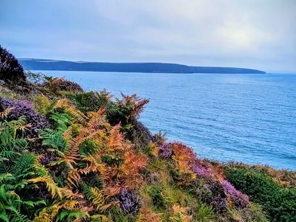 Ease In Uneasy Times 