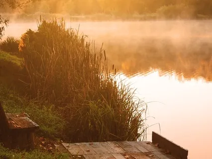 Ease Into Autumn I | Yoga Nidra For Embracing Change