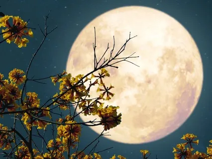 Ease Into Deep Restful Sleep