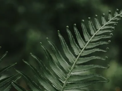 Ease Into Sleep: Blissful Sound Bath