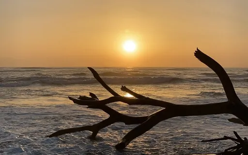 Ease Into Sleep - Guided Energy Based Meditation