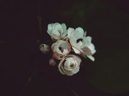 Ease Into Sleep Knowing You Are Enough