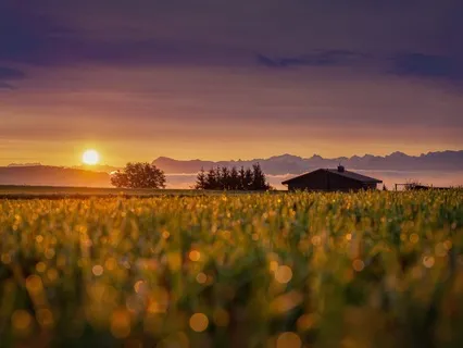 Ease Into Your Morning With Gratitude