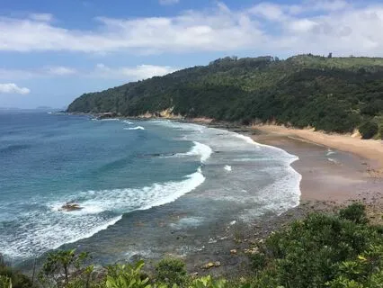 Ease, Letting Go And Vital Life