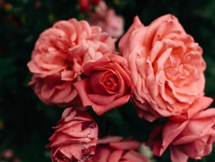 Ease Mental Soreness - Tough Day Release