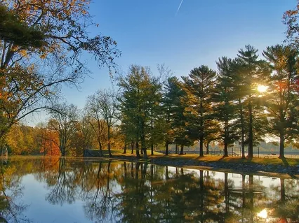 Ease Slowly Into The Morning