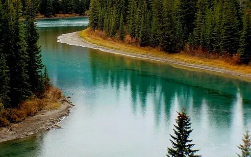 Ease Tension And Restore Balance