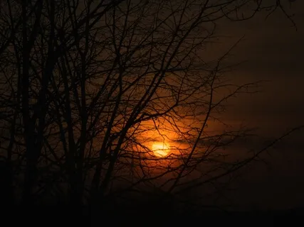 Easeful Heart, Peaceful Sleep