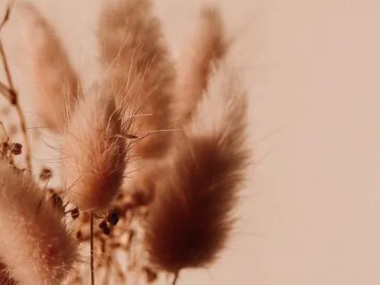 Easing Anxiety With Safety And Compassion