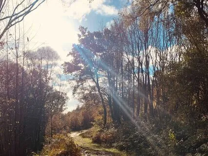 Easing Anxiety With Wisdom And Compassion