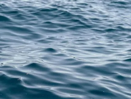 Easing Anxiety: Yoga Nidra - An Ocean Of Calm