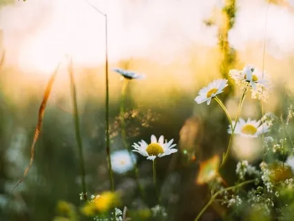 Easing Anxious Thoughts With Mindful Presence